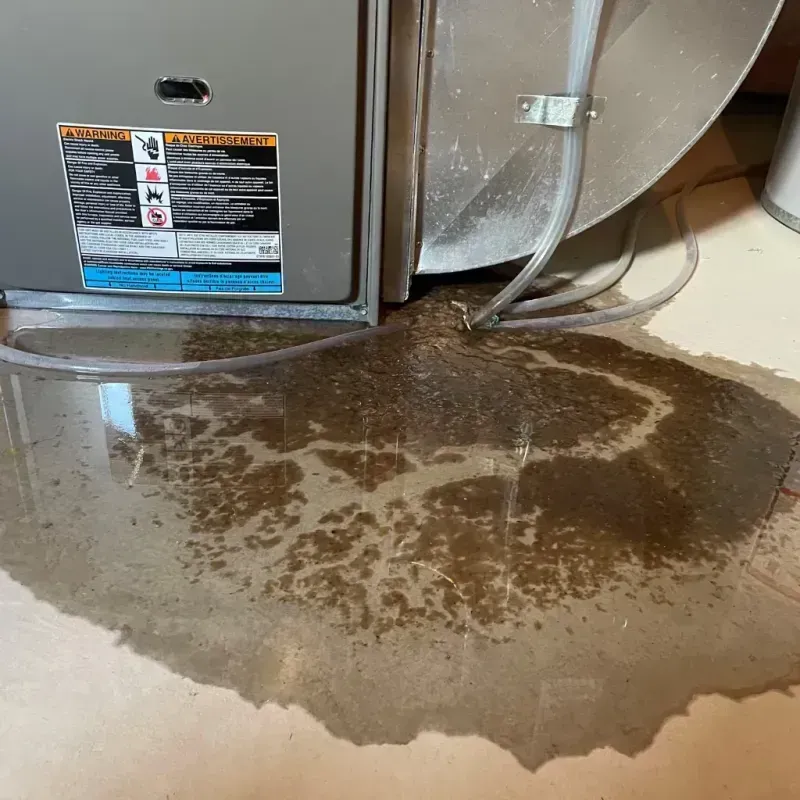 Appliance Leak Cleanup in Belleview, FL